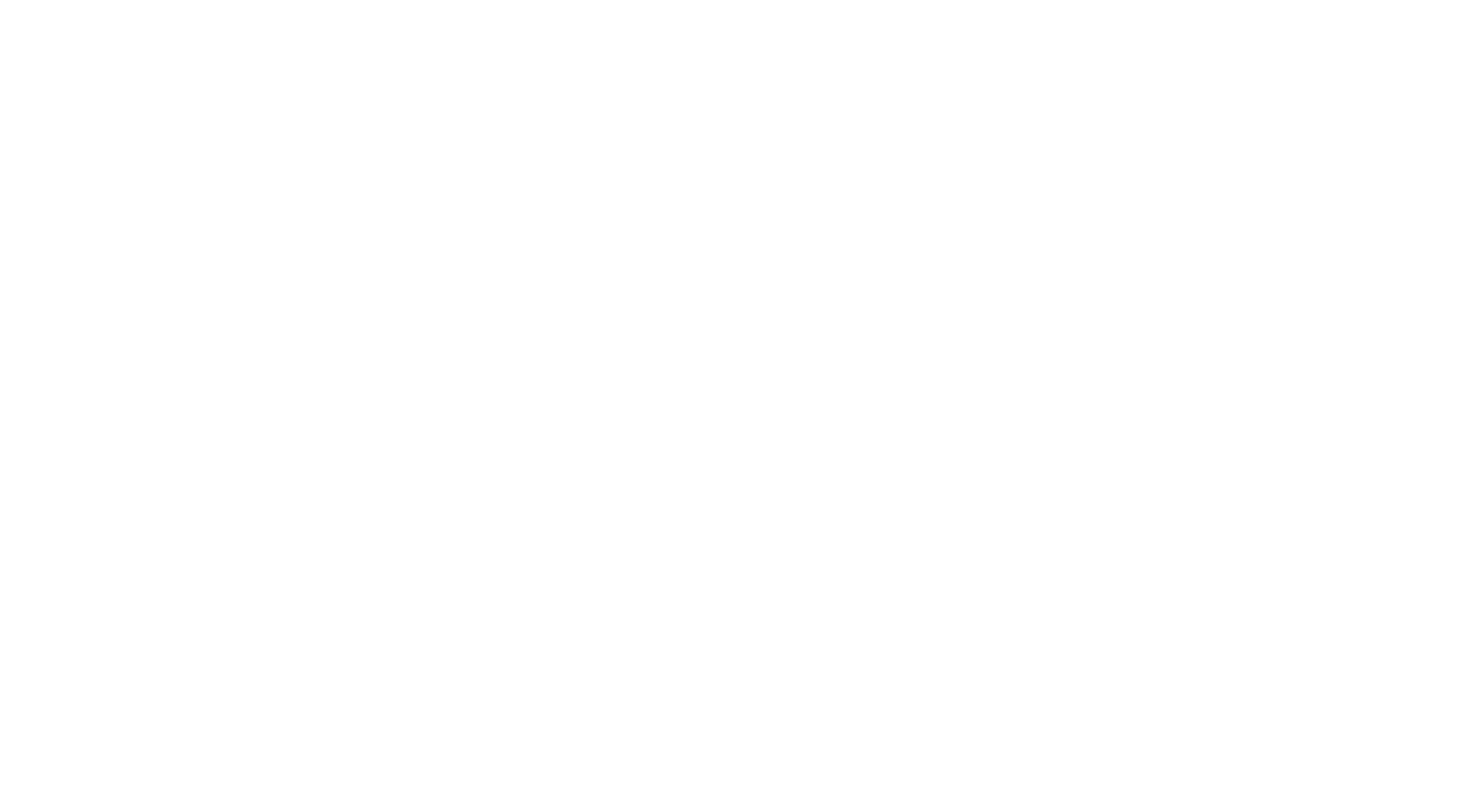 P.A.L ITALIA